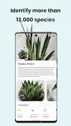 PlantCam: AI Plant Identifier Screenshot 2