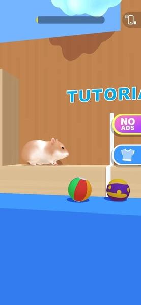 Hamster Maze ภาพหน้าจอ 0