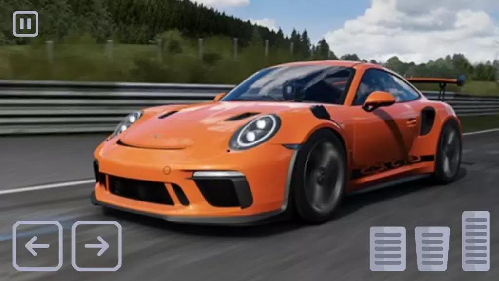 Schermata Racing Porsche Carrera 911 GT3 0