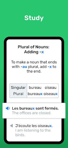 Wlingua - Learn French Screenshot 1