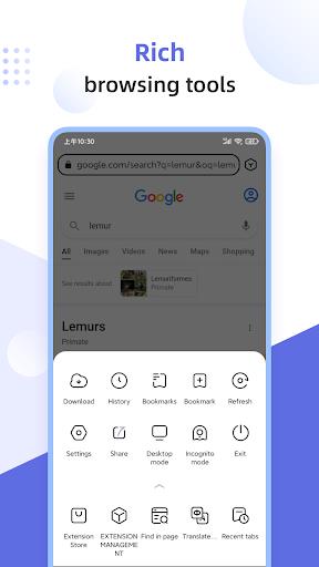 Lemur Browser - extensions スクリーンショット 3