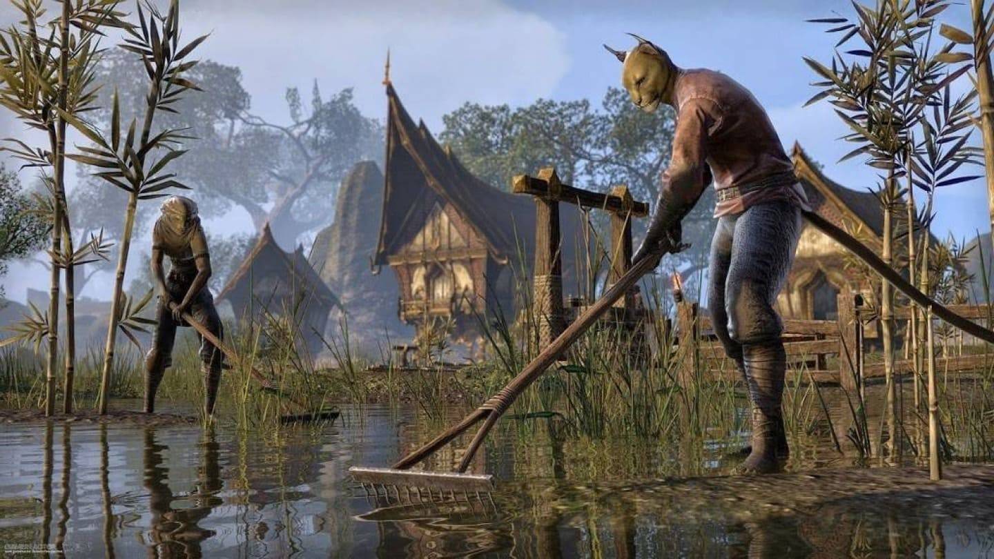 Gamer, Elder Scrolls VI'nın bir parçası olmak için yaklaşık 100.000 dolar ödüyor