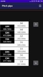 CarlTune - Chromatic Tuner ภาพหน้าจอ 2