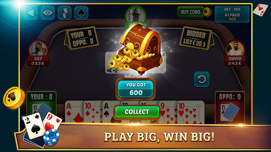 29 Card Game Plus Tangkapan skrin 2