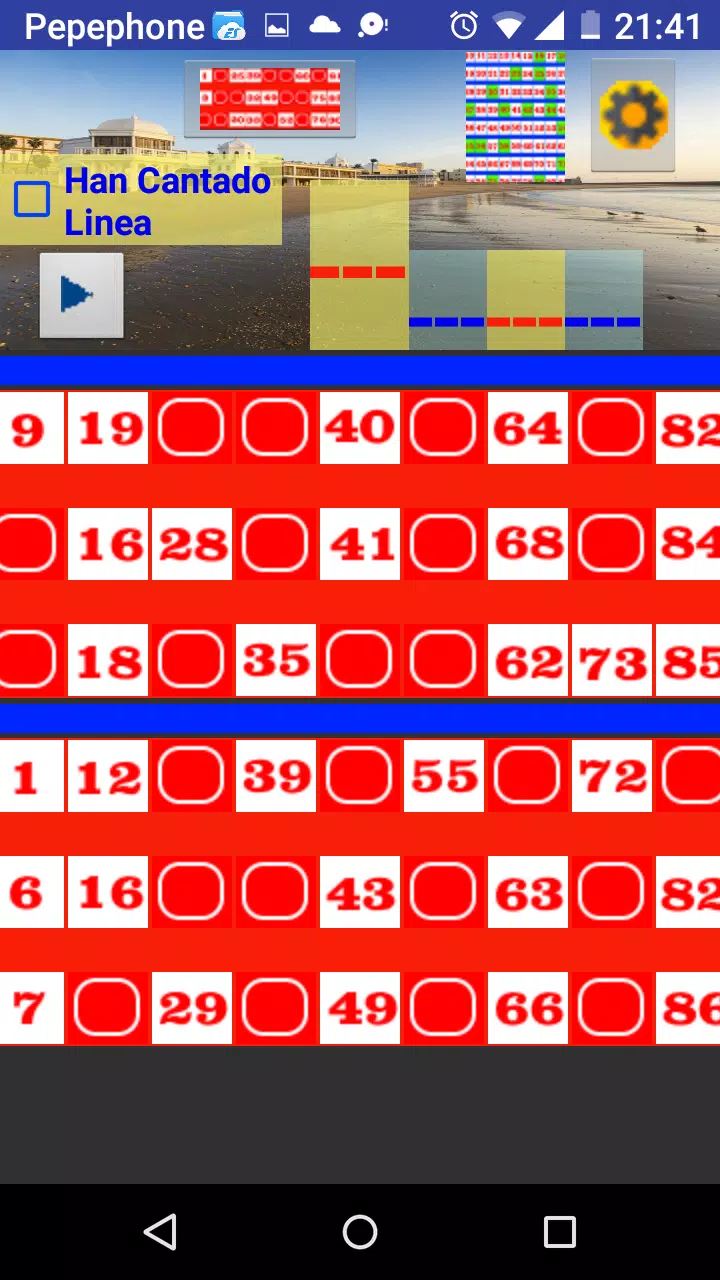 Bingo Caletero Screenshot 1