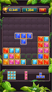 Block Puzzle Jewel Classic Screenshot 2