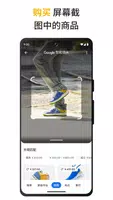 Google Captura de pantalla 1
