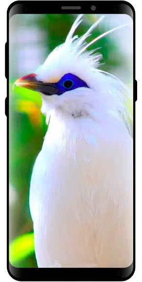 10000 Nature Wallpapers スクリーンショット 0