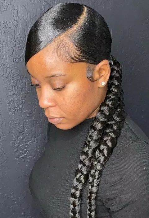 Sleek Braided Ponytail Styles Schermafbeelding 0