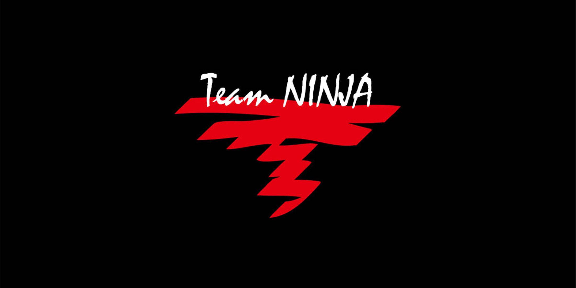 Team Ninja Teases 30th Anniversary Plans