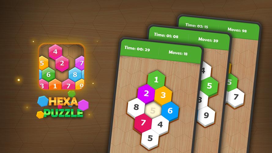 Hexa Sort Puzzle Ekran Görüntüsü 0