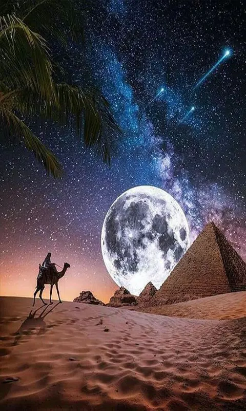 خلفيات Captura de tela 2
