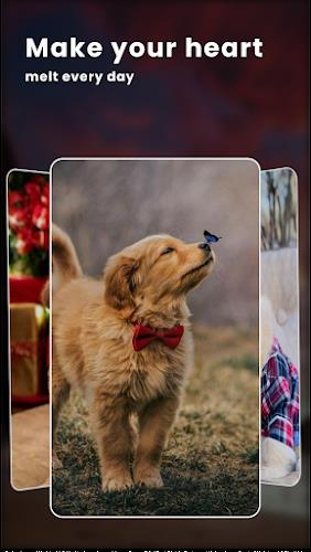 Puppy Love: Cute Dog Wallpaper Schermafbeelding 2