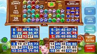 Schermata Video Bingo Little Farm 0