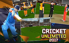 Schermata Cricket Unlimited 2017 3