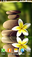 Zen Garden Live Wallpaper Zrzut ekranu 1