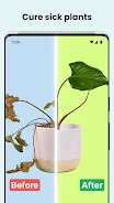 PlantCam: AI Plant Identifier Screenshot 3