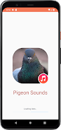 Pigeon Sounds 螢幕截圖 0