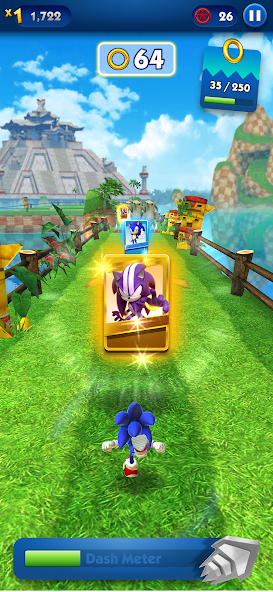 Sonic Dash - Jeux de Course Capture d'écran 3