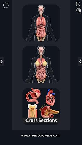 My Organs Anatomy 螢幕截圖 0