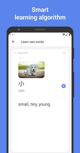Schermata Learn Chinese with flashcards! 0