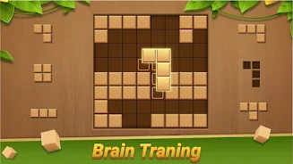 Block Puzzle - Wood Blast Tangkapan skrin 0