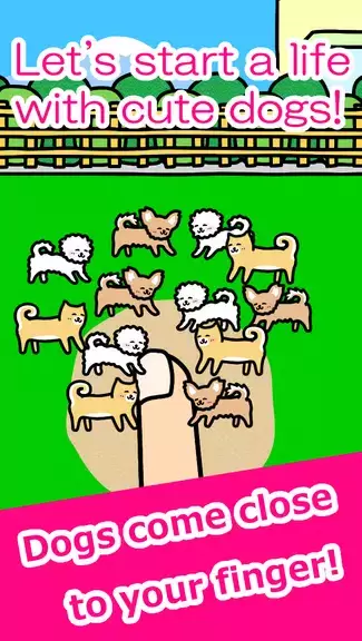 Play with Dogs - relaxing game Captura de tela 0