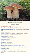 Shroomify - Mushroom Identific Screenshot 3