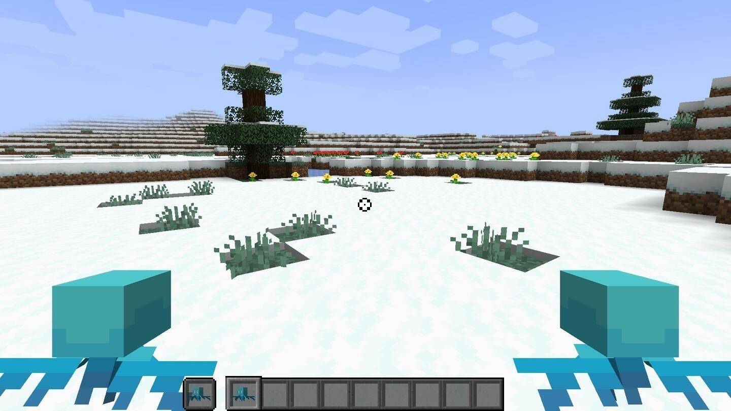 biji biome salji minecraft