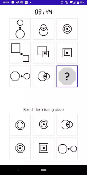 iQT: Raven IQ Test