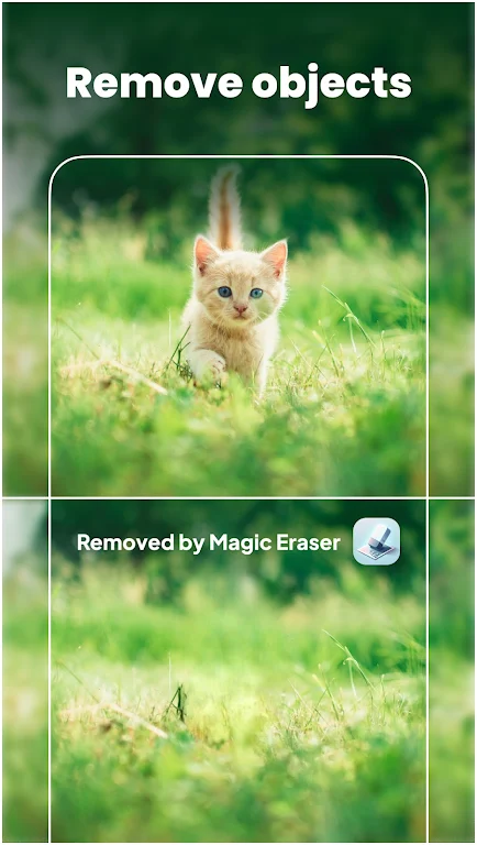 Magic Eraser - Remove Objects应用截图第0张