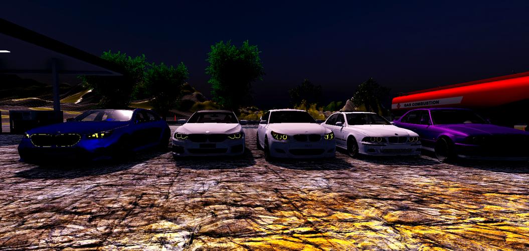 Driving Simulator BMW Capture d'écran 0