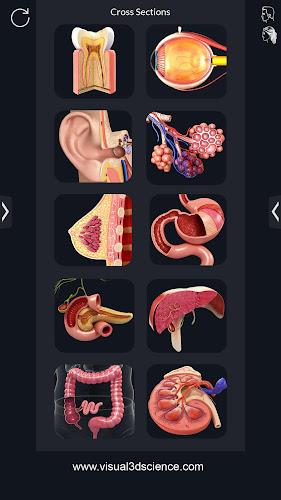 My Organs Anatomy 螢幕截圖 1