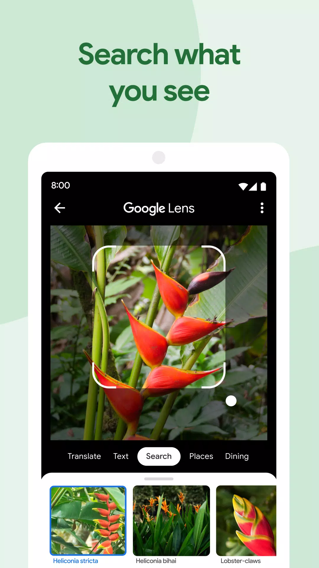 Google 相簿 螢幕截圖 2