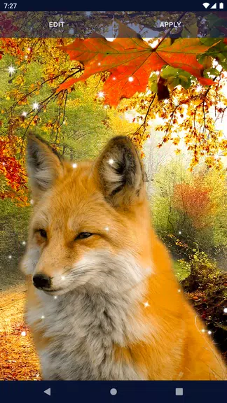Parallax Nature Live Wallpaper Скриншот 3