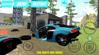 Car Crash And Roads 스크린샷 0