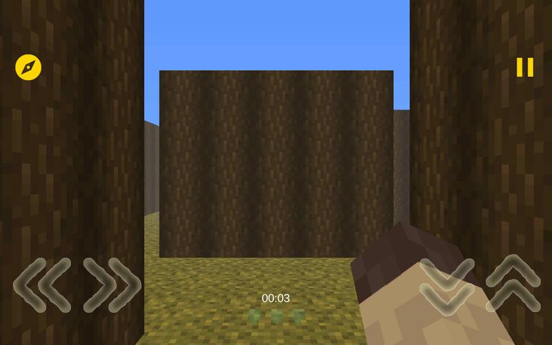 Mine Maze 3D应用截图第0张