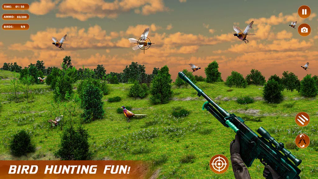 Pheasant Shooter Birds Hunting Captura de pantalla 3
