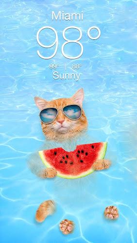 Weather Kitty - App & Widget 螢幕截圖 1