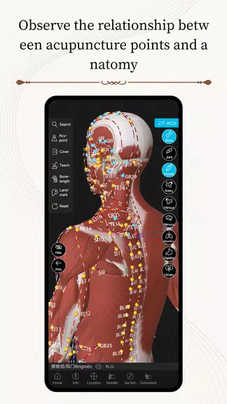 Acupuncture Master 螢幕截圖 2