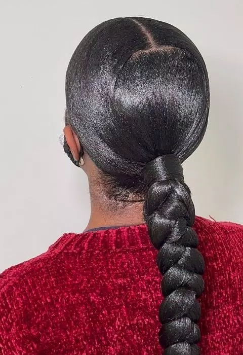 Sleek Braided Ponytail Styles ဖန်သားပြင်ဓာတ်ပုံ 2