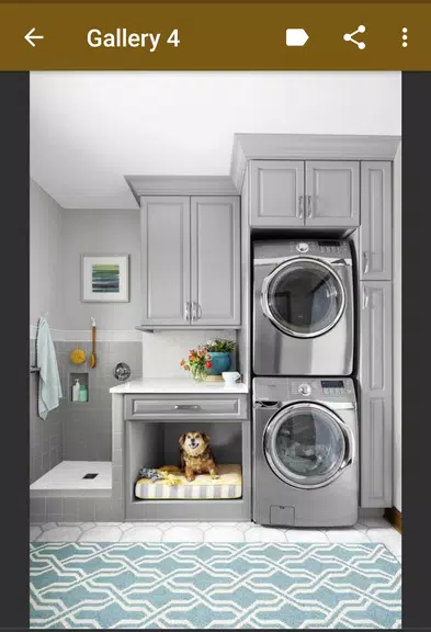 Laundry Room Organization ဖန်သားပြင်ဓာတ်ပုံ 2