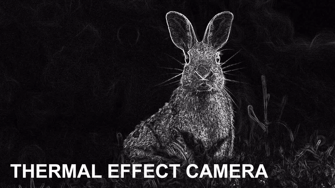 Low Light Cam Thermal Effects স্ক্রিনশট 0