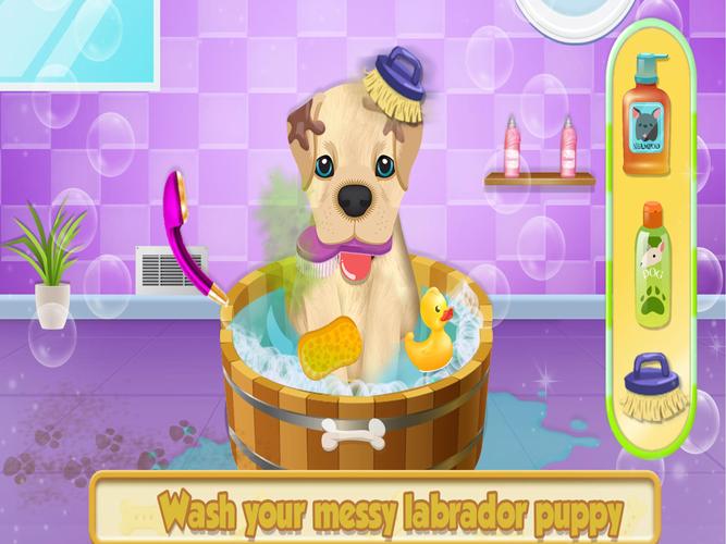 Cute Pet Dog Training Care Captura de pantalla 0