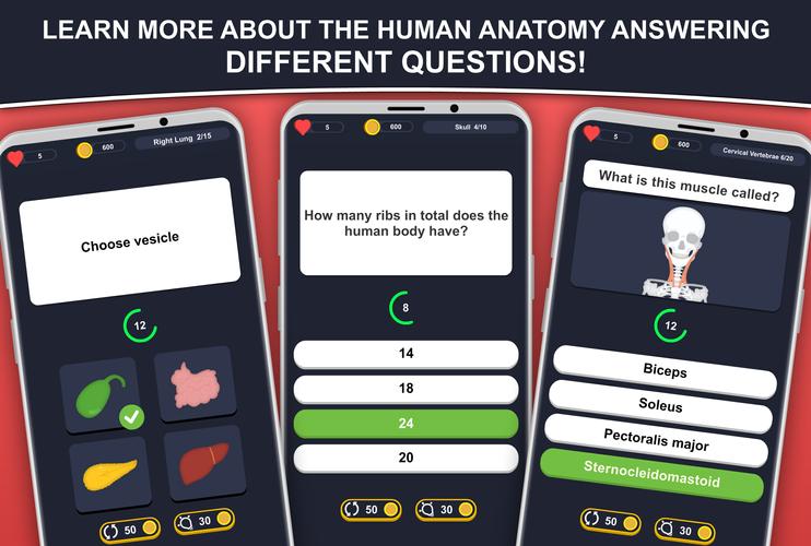 Anato Trivia Screenshot 0