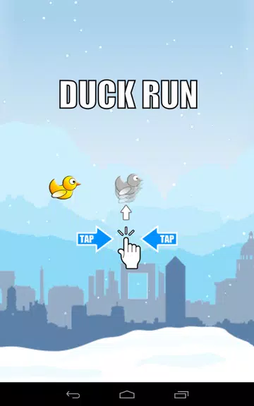 Duck Run 스크린샷 2