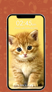 Kitty Cat Pin Lock Screen স্ক্রিনশট 0