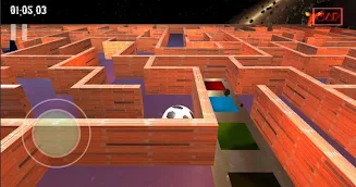 3D Maze Game ( Bhul Bhulaiya) Zrzut ekranu 3