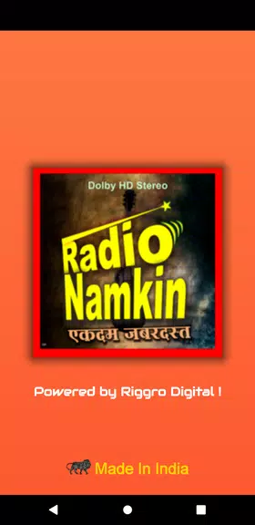 Radio Namkeen- FM Radio Online Schermafbeelding 0