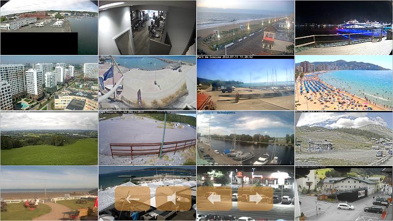 IP camera ONVIF RTSP viewer Скриншот 0